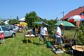 Festival 2015   1